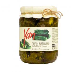 Pickled cucumbers Yan 700g