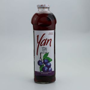 Կոմպոտ Յան մամուխ 0.93լ